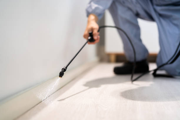 Professional exterminator conducting IPM assessment in Catawissa