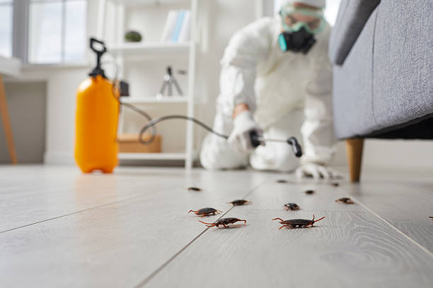 Commercial Kitchen Cockroach Control in Catawissa